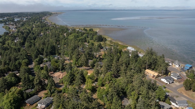 800 Duck Lake Dr SE, Ocean Shores, WA 98569 - photo 15