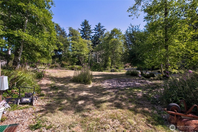 800 Duck Lake Dr SE, Ocean Shores, WA 98569 - photo 16