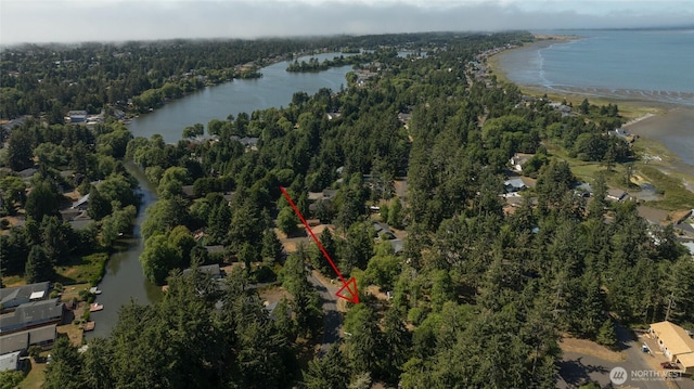 800 Duck Lake Dr SE, Ocean Shores, WA 98569 - photo 19