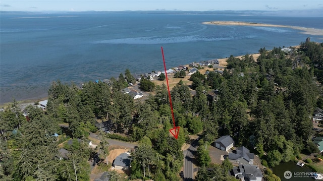 800 Duck Lake Dr SE, Ocean Shores, WA 98569 - photo 21