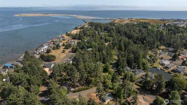 800 Duck Lake Dr SE, Ocean Shores, WA 98569 - photo 24