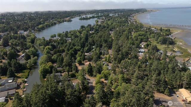 800 Duck Lake Dr SE, Ocean Shores, WA 98569 - photo 26
