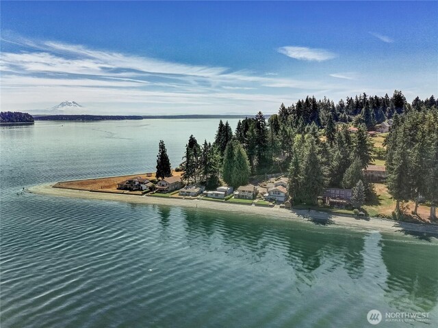 9913 Point View St NE, Olympia, WA 98516 - water view