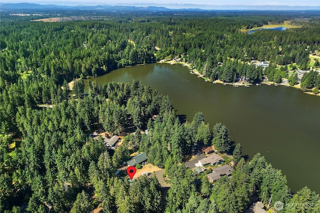 320 E Ballantrae Dr, Shelton, WA 98584 - photo 27