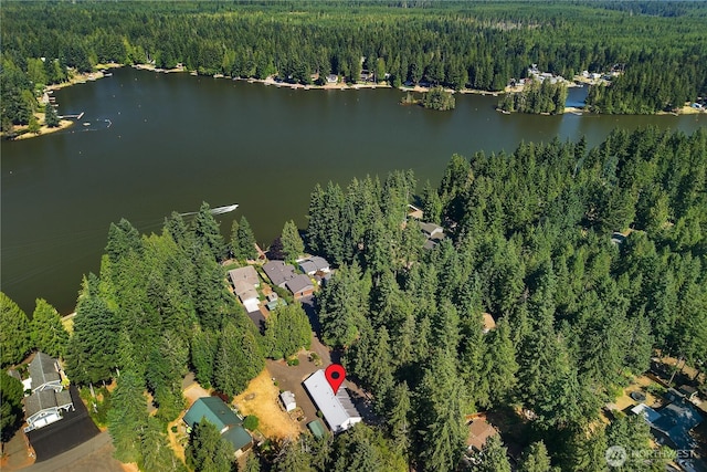 320 E Ballantrae Dr, Shelton, WA 98584 - photo 28