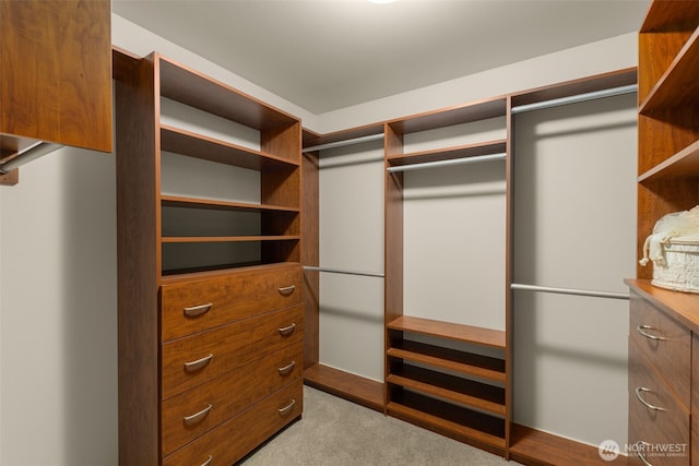 3414 SE 223rd Ave, Sammamish, WA 98075 - spacious closet with carpet floors