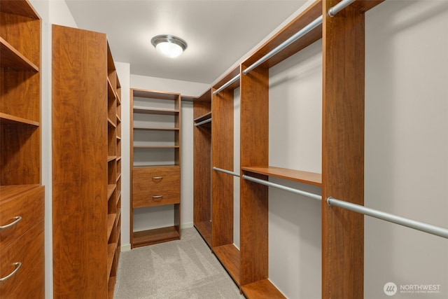 3414 SE 223rd Ave, Sammamish, WA 98075 - walk in closet with carpet floors