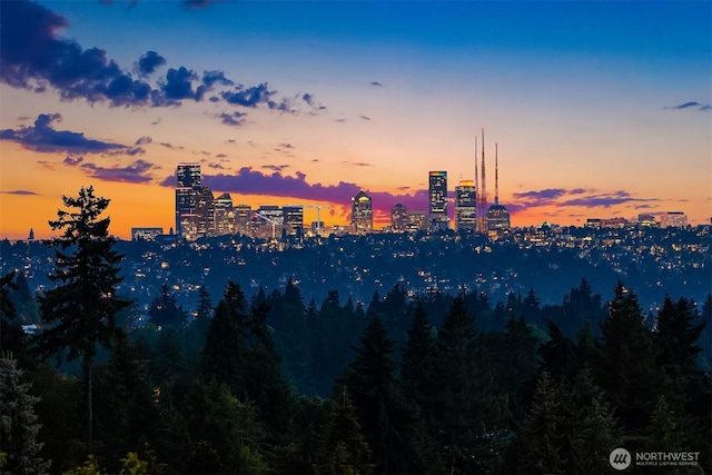 9620 NE 28th St, Clyde Hill, WA 98004 - view of city