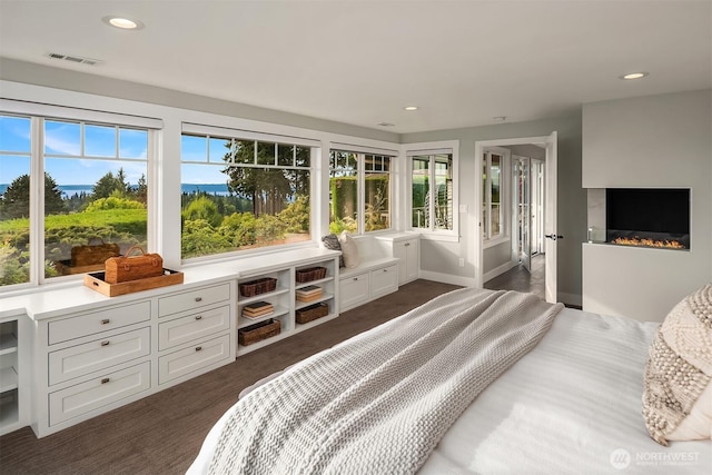 9620 NE 28th St, Clyde Hill, WA 98004 - bedroom featuring multiple windows, recessed lighting, a glass covered fireplace, and dark colored carpet