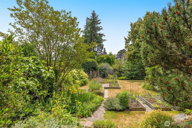 3912 NE 127th St, Seattle, WA 98125 - view of yard with a vegetable garden