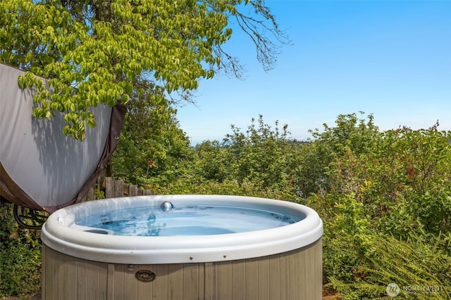 3912 NE 127th St, Seattle, WA 98125 - exterior view of a jacuzzi