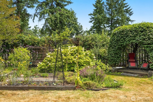 3912 NE 127th St, Seattle, WA 98125 - view of grassy yard featuring a vegetable garden