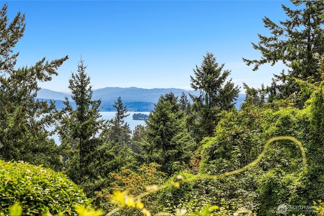 3912 NE 127th St, Seattle, WA 98125 - mountain view with a forest