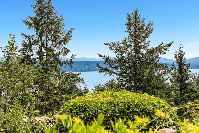 3912 NE 127th St, Seattle, WA 98125 - water view featuring mountains