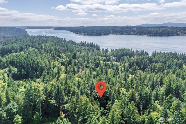 5150 NE N Tolo Rd, Bainbridge Island, WA 98110 - photo 29