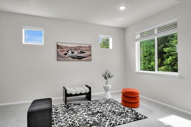3941 233rd St SE, Bothell, WA 98021 - sitting room featuring carpet and recessed lighting