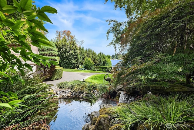 3210 Hunts Point Rd, Hunts Point, WA 98004 - view of yard