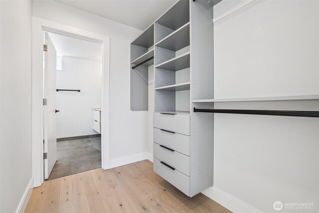 805 Taylor Ave N Unit D, Seattle, WA 98109 - walk in closet with light wood-style floors
