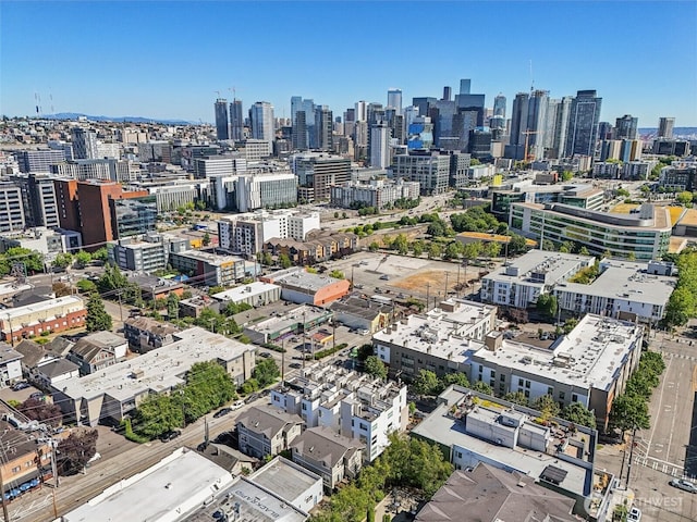 805 Taylor Ave N Unit D, Seattle, WA 98109 - skyline view