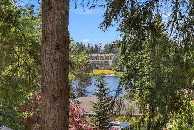 13573 Linden Ave N Unit 302, Seattle, WA 98133 - water view
