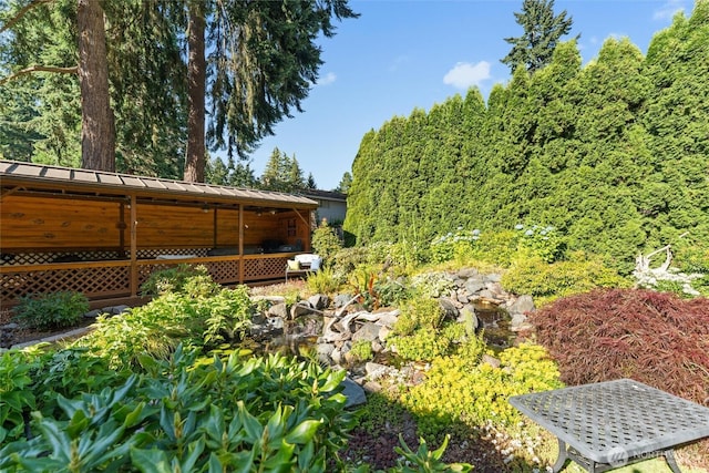 17310 Palatine Ave N, Shoreline, WA 98133 - view of yard