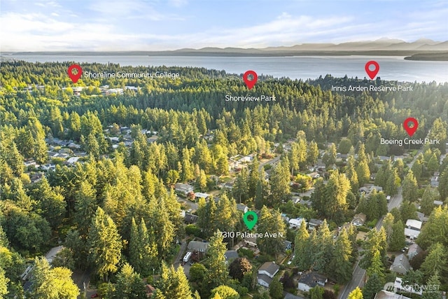 17310 Palatine Ave N, Shoreline, WA 98133 - aerial overview of property's location with a large body of water and a forest
