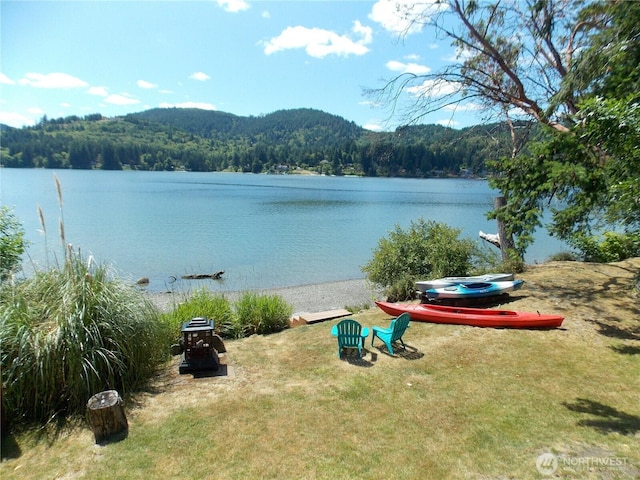 3223 Aspinwall Rd NW, Olympia, WA 98502 - water view with a forest and a mountain backdrop