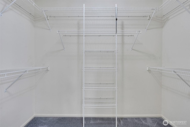 7332 156th St SE, Snohomish, WA 98296 - walk in closet featuring carpet