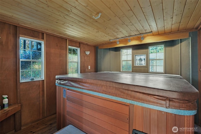 7332 156th St SE, Snohomish, WA 98296 - miscellaneous room with rail lighting, wood ceiling, wood walls, and plenty of natural light
