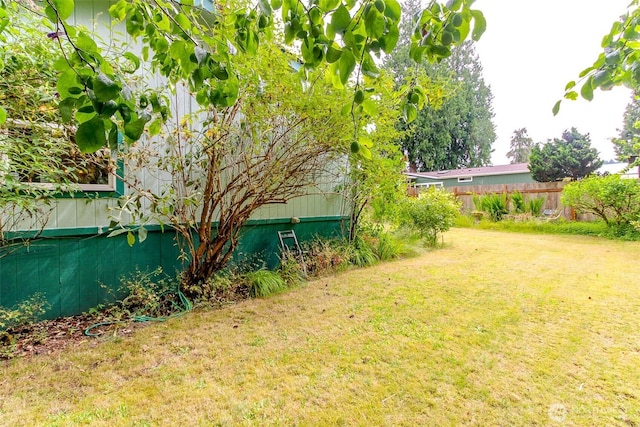 1106 29th St SE, Auburn, WA 98002 - view of yard