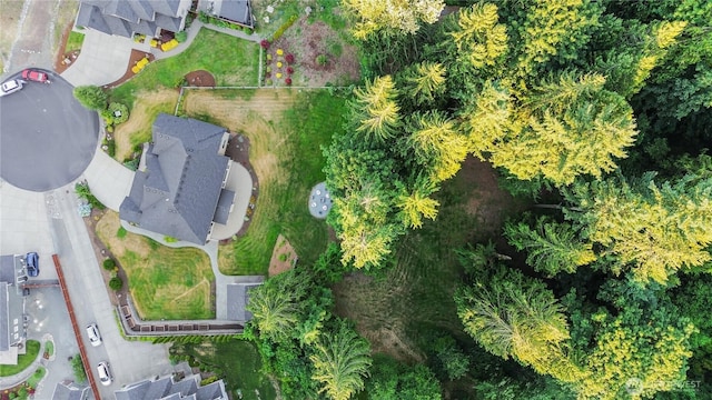 24130 145th Ave SE, Snohomish, WA 98296 - bird's eye view