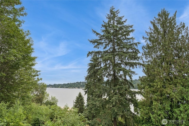 13722 42nd Ave NE, Seattle, WA 98125 - photo 31