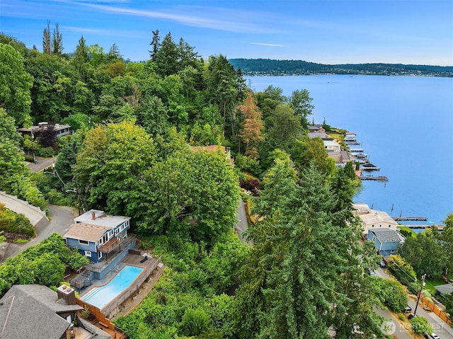 13722 42nd Ave NE, Seattle, WA 98125 - photo 29