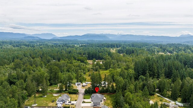 3830 257th St NE, Arlington, WA 98223 - photo 36