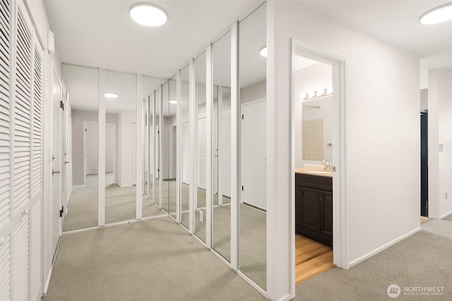 8005 Sand Point Way NE Unit A52, Seattle, WA 98115 - corridor featuring light colored carpet and baseboards