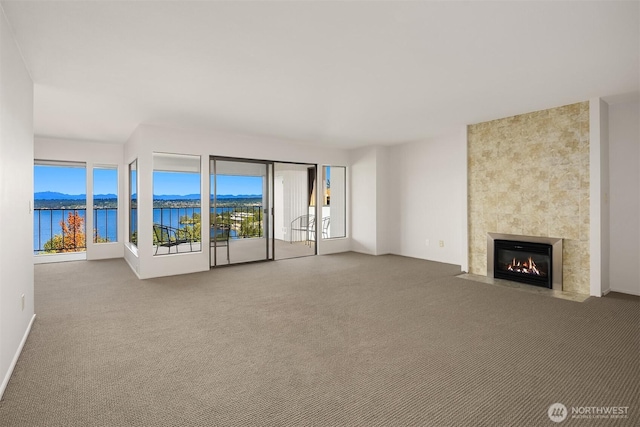 8005 Sand Point Way NE Unit A52, Seattle, WA 98115 - unfurnished living room with a water view, carpet, and a fireplace