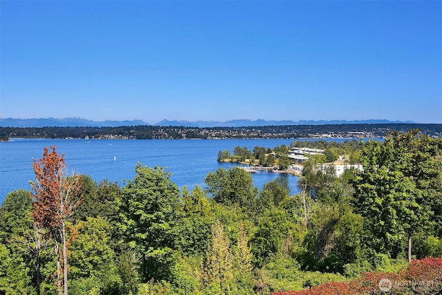 8005 Sand Point Way NE Unit A52, Seattle, WA 98115 - water view featuring a mountainous background
