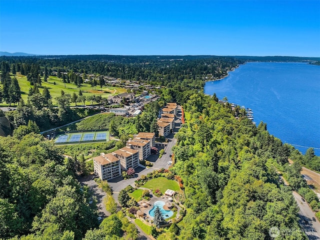 8005 Sand Point Way NE Unit A52, Seattle, WA 98115 - drone / aerial view of a forest and a nearby body of water