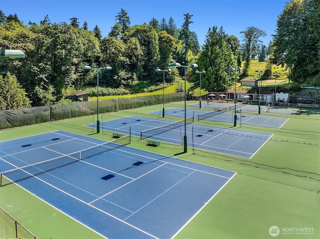 8005 Sand Point Way NE Unit A52, Seattle, WA 98115 - view of tennis court with community basketball court