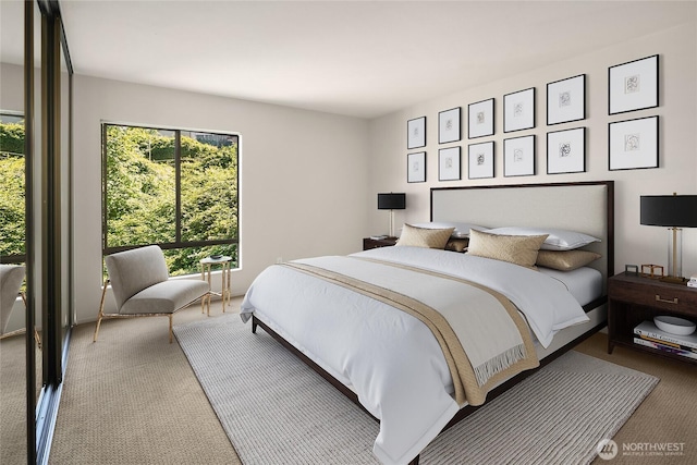 8005 Sand Point Way NE Unit A52, Seattle, WA 98115 - bedroom with carpet floors