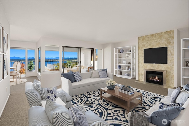 8005 Sand Point Way NE Unit A52, Seattle, WA 98115 - carpeted living area with a fireplace, built in features, and a mountain view