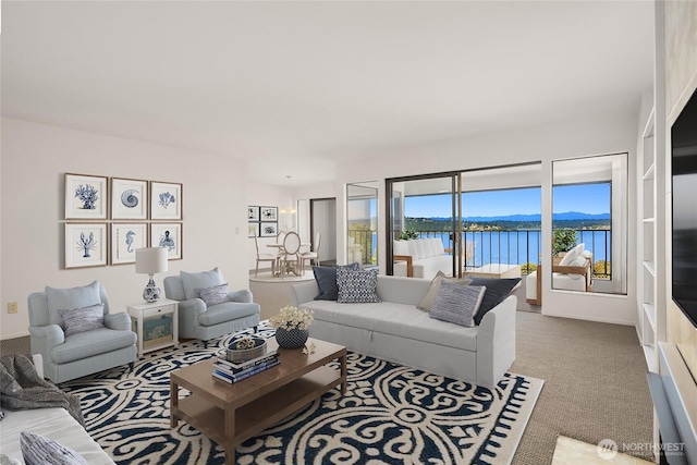 8005 Sand Point Way NE Unit A52, Seattle, WA 98115 - living area featuring a water view and carpet floors