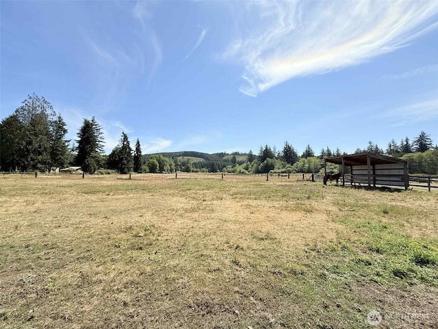 15 S Heise Rd, Elma, WA 98541 - view of yard with a view of rural / pastoral area
