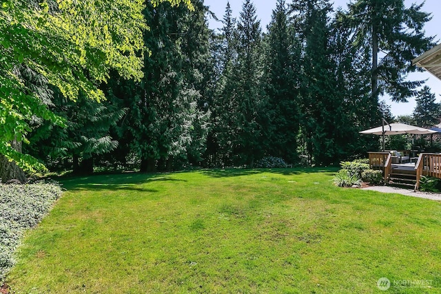16309 NE 130th St, Redmond, WA 98052 - photo 27