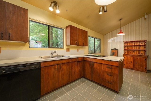 18707 25th Ave NE, Lake Forest Park, WA 98155 - kitchen featuring black dishwasher, healthy amount of natural light, light countertops, lofted ceiling, and cooktop