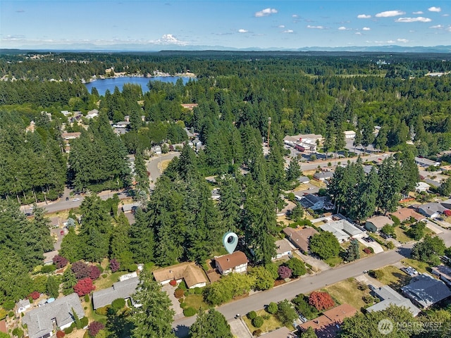 2810 Brentwood Dr SE, Lacey, WA 98503 - aerial view of property's location featuring a heavily wooded area and a large body of water
