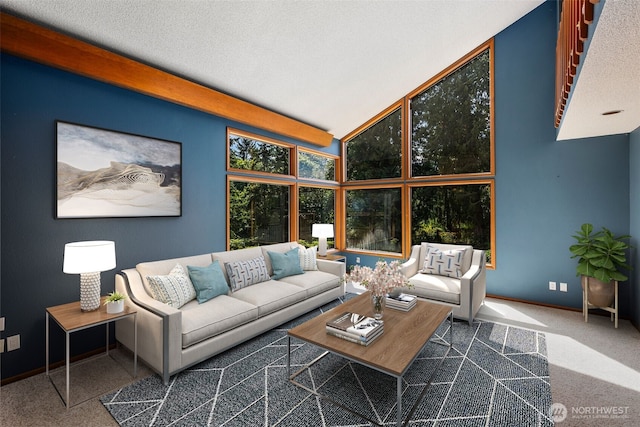 2515 87th Avenue Ct E, Edgewood, WA 98371 - living room featuring carpet and baseboards