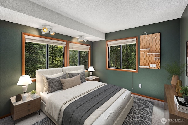 2515 87th Avenue Ct E, Edgewood, WA 98371 - bedroom with multiple windows, carpet, a textured ceiling, and a textured wall