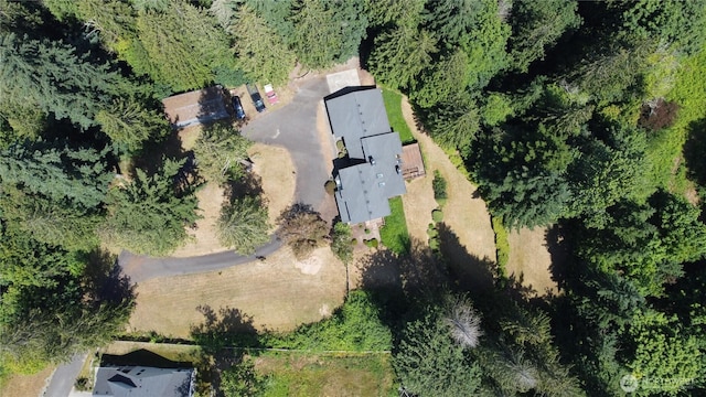 2515 87th Avenue Ct E, Edgewood, WA 98371 - view of property location with a heavily wooded area