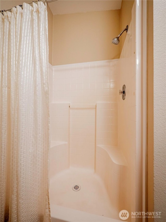 4805 Cushman Rd NE Unit 115, Olympia, WA 98506 - bathroom with curtained shower